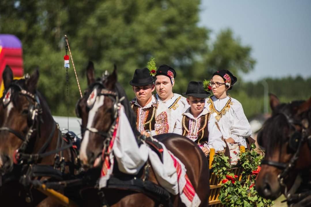 Baranja Black Hill'S Gajic Eksteriør billede