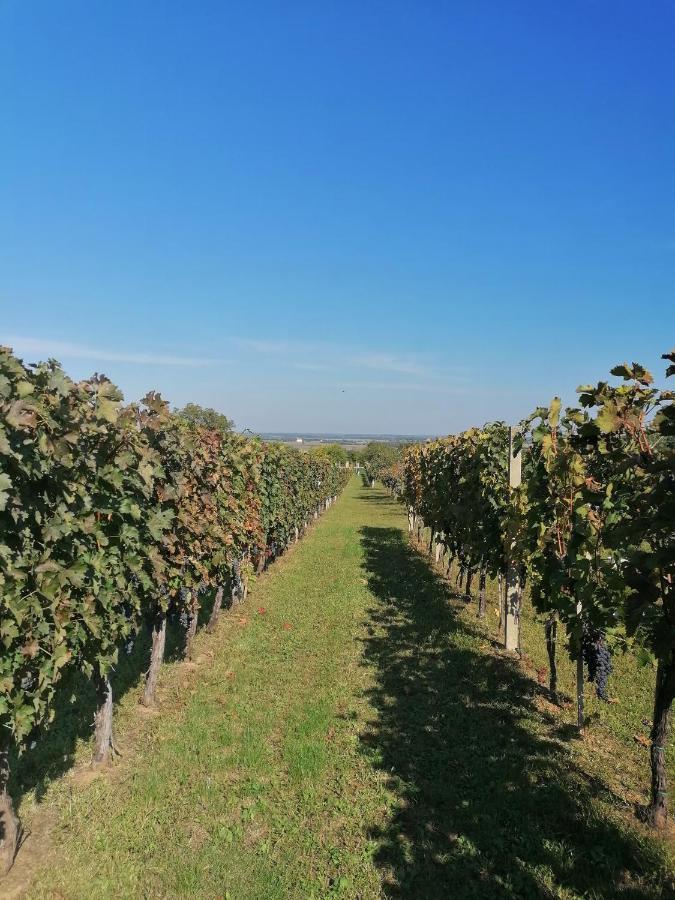 Baranja Black Hill'S Gajic Eksteriør billede